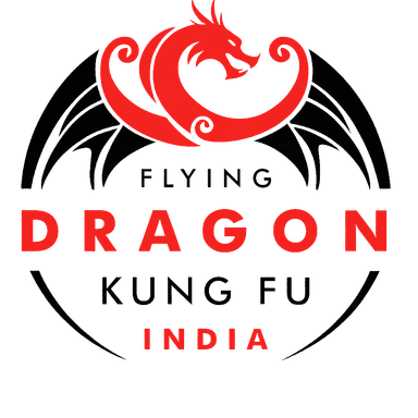 Flying dragon kung fu